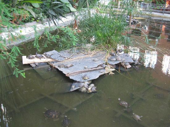 阿托查火车站-马德里必去景点