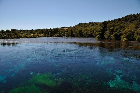 Te Waikoropupu Springs (Pupu Springs)-南岛必去景点
