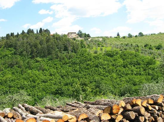 Accidental Tourist-佛罗伦萨必去景点