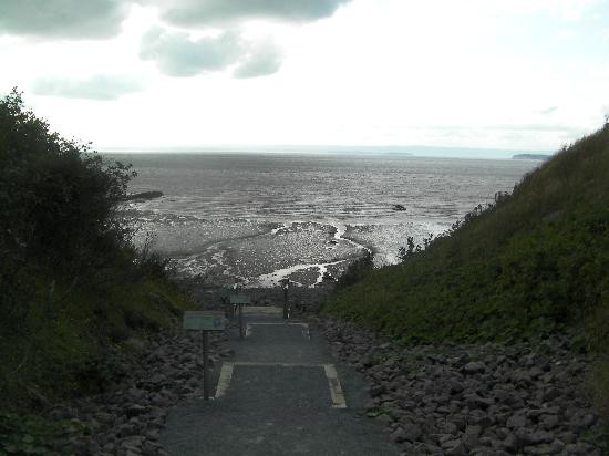 Joggins Fossil Cliffs And Centre-Joggins必去景点