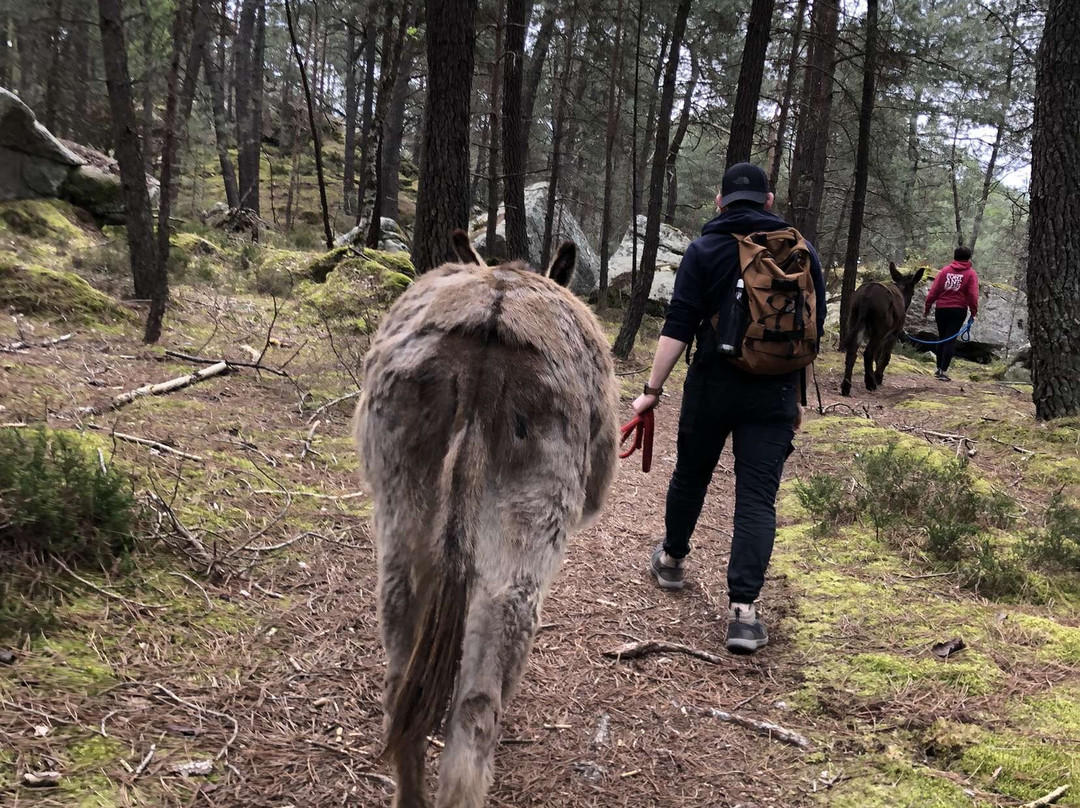 Fontanebleau-Acheres-la-Foret必去景点