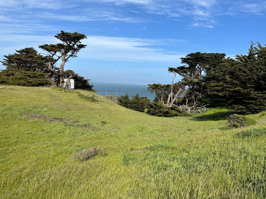 Point Reyes National Seashore景点图片