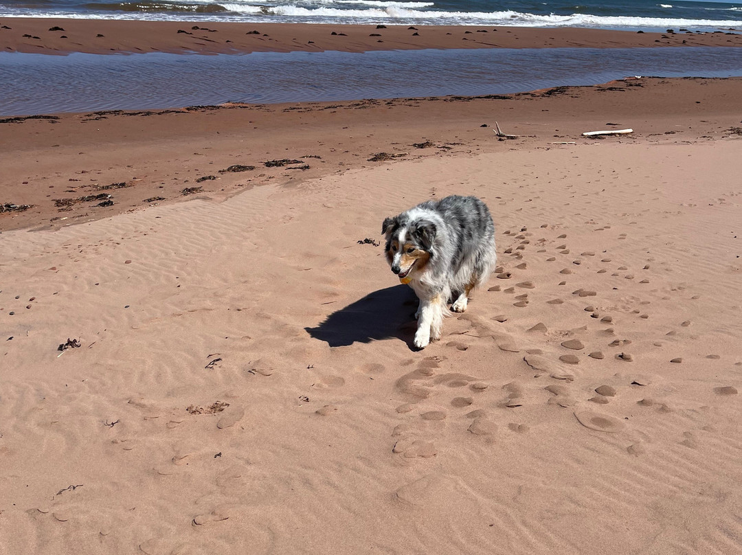 North Lake Beach Motel主图