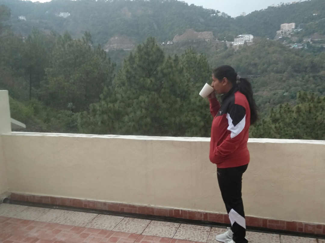 Misty Meadows Resorts主图