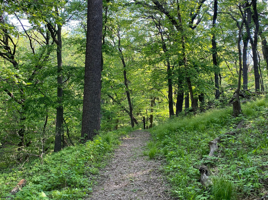 Dorothy Pecaut Nature Center-苏城必去景点