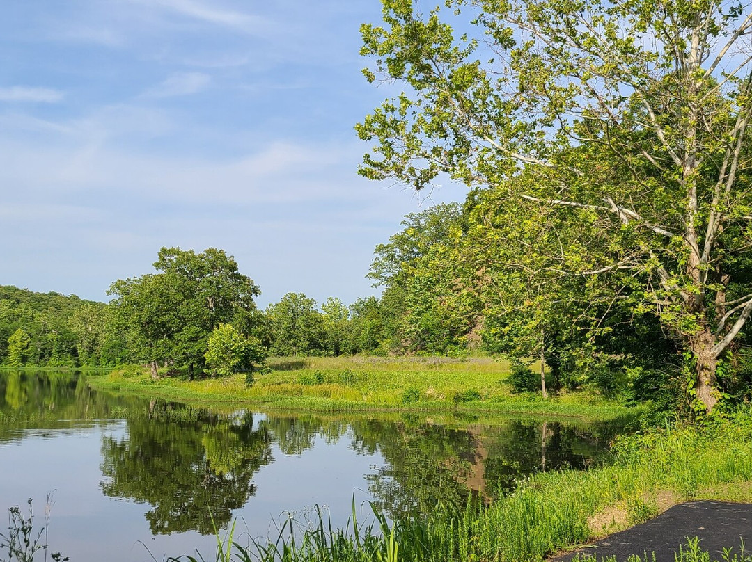 Lake Vian Trail System