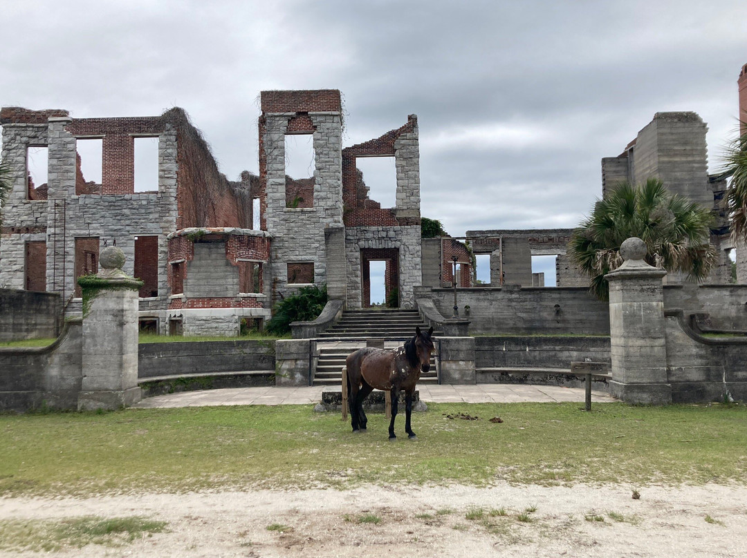 Cumberland Island National Seashore-St. Marys必去景点