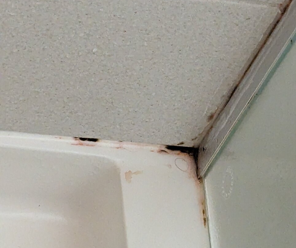 Holiday Inn Riverton - Convention Center By Ihg主图