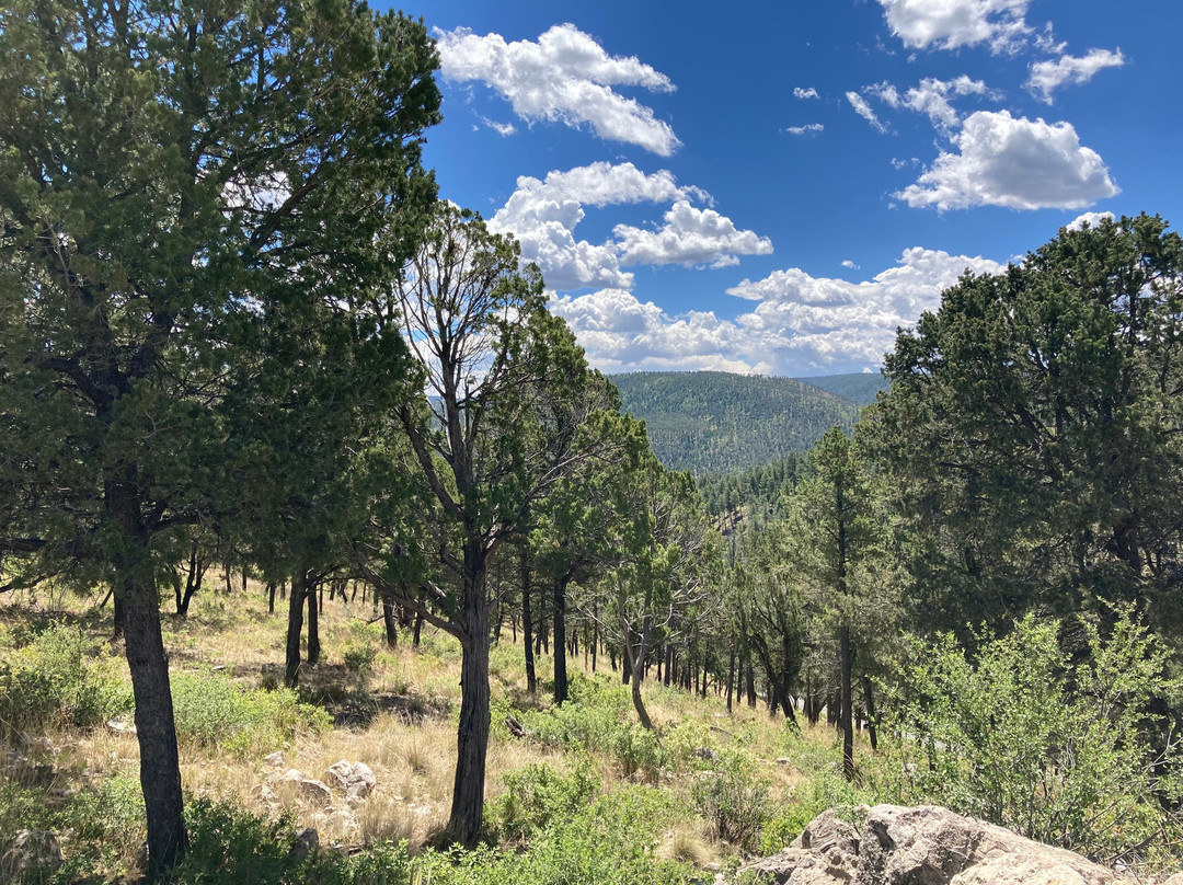 Crown Point Owners Association主图