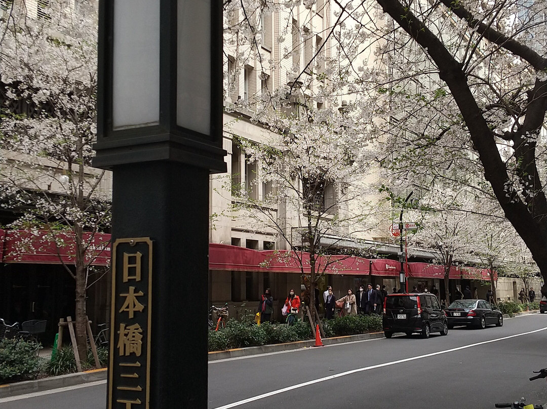 Yaesu Sakura Dori-Yaesu必去景点