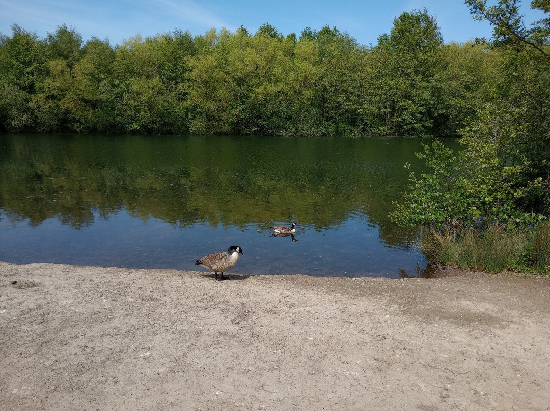 Walton Colliery Nature Park景点图片
