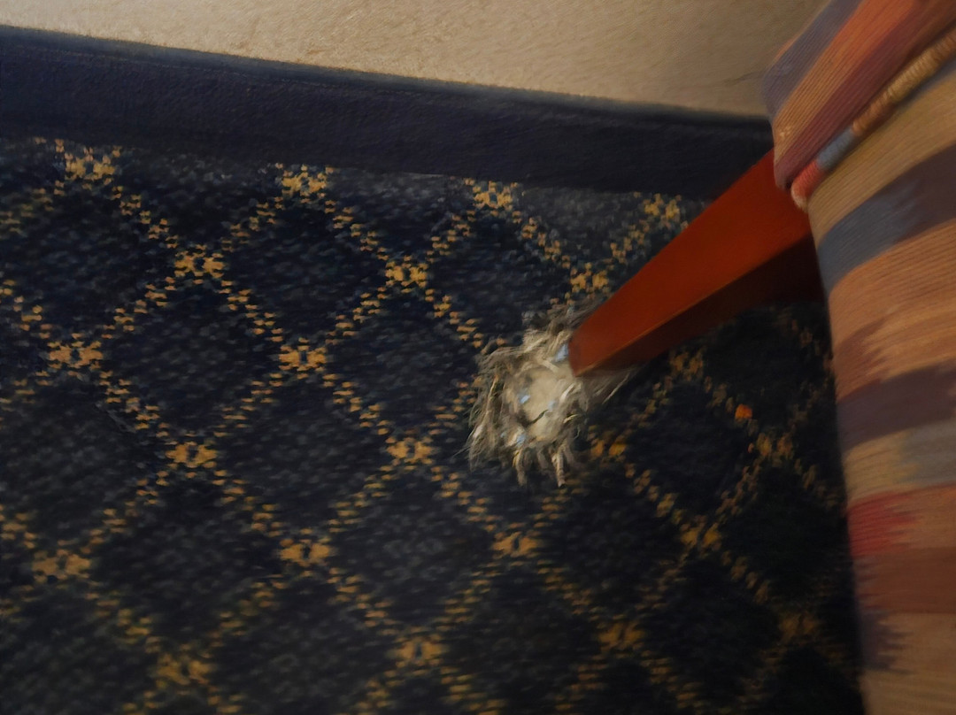 Spark By Hilton Santa Nella主图