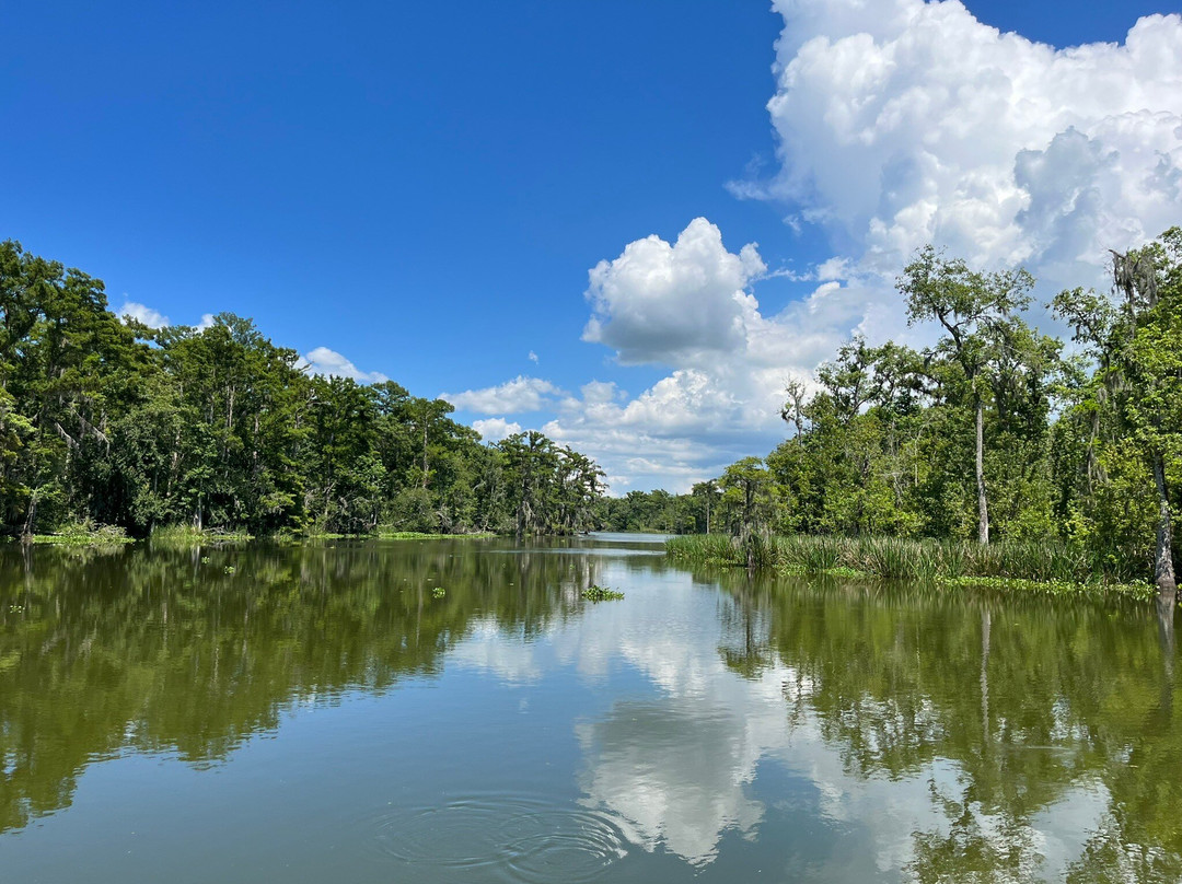 Zam's Bayou Swamp Tours景点图片