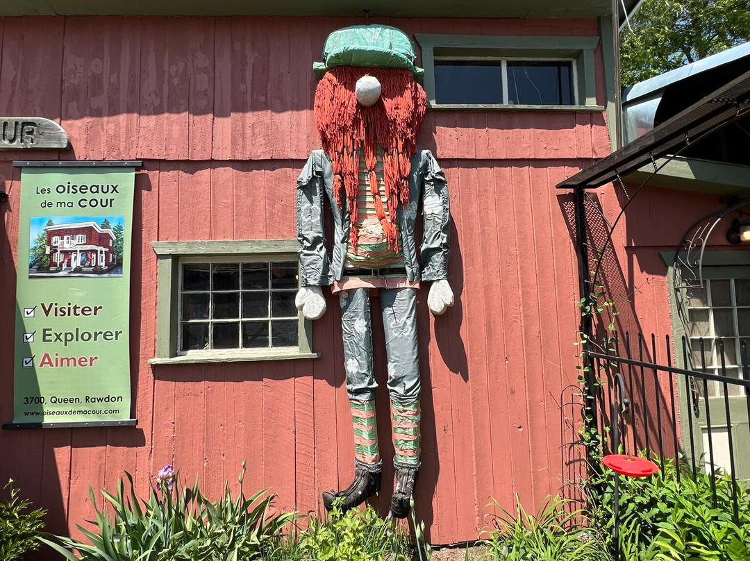 Les Oiseaux de ma Cour