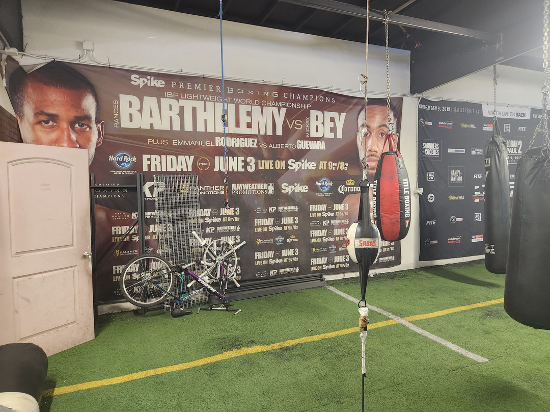 Las Vegas Fight Shop-拉斯维加斯必去景点