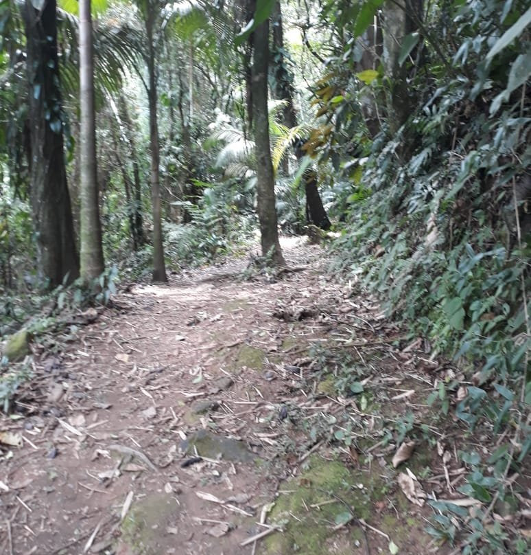 Salto do sagrado景点图片