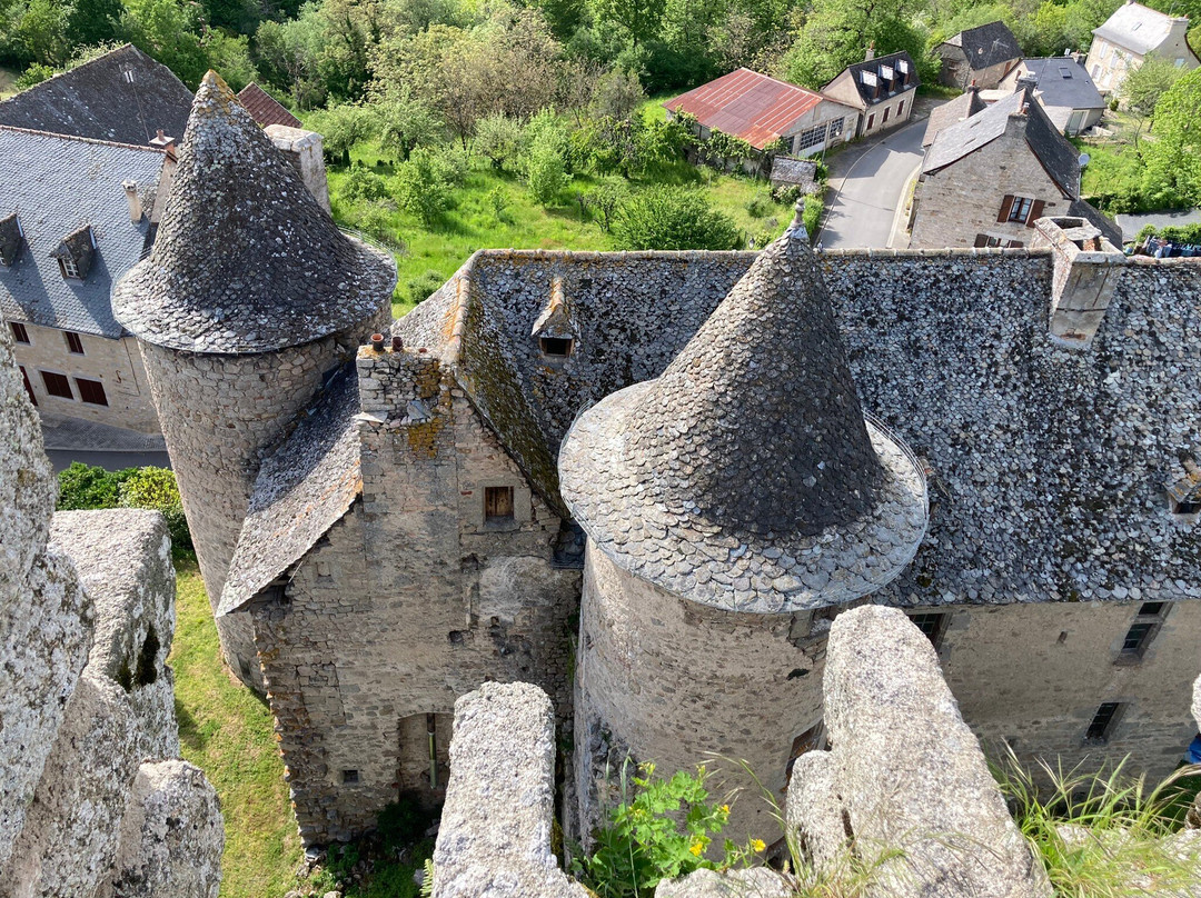 Tour du château de Sénergues景点图片