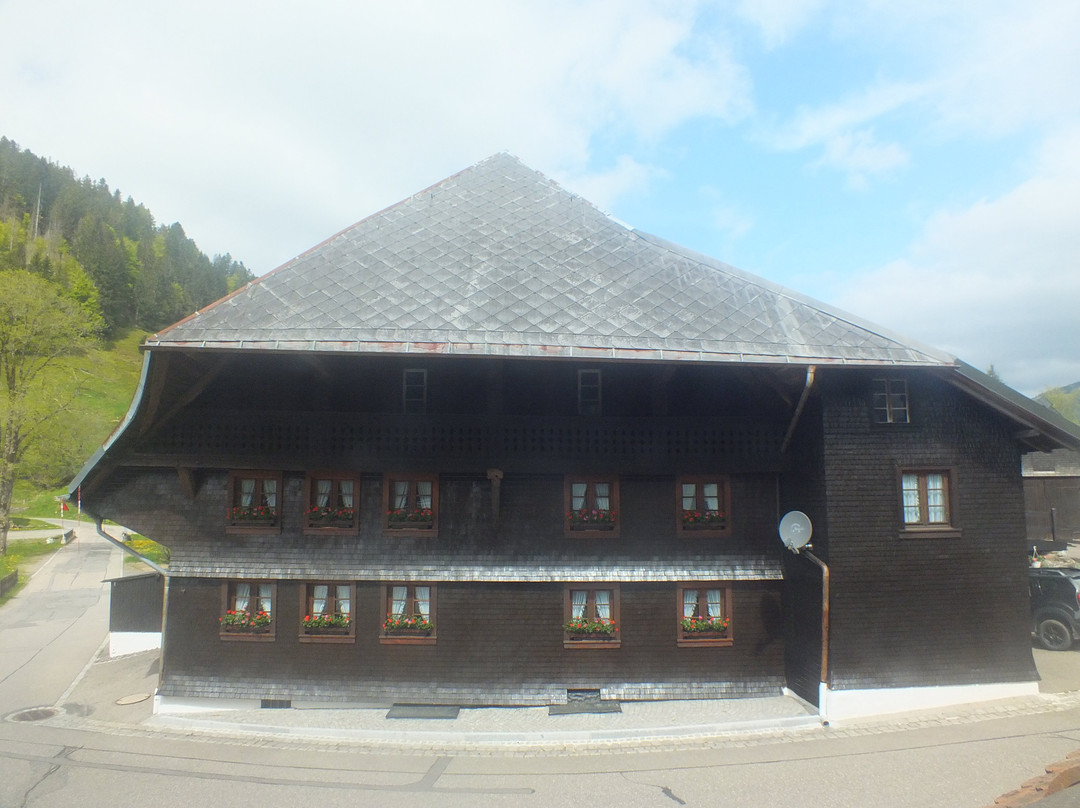 Altstadt Menzenschwand景点图片
