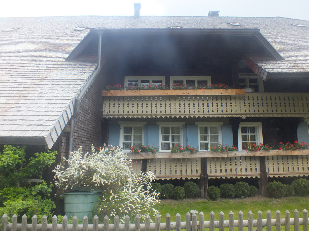 Altstadt Menzenschwand