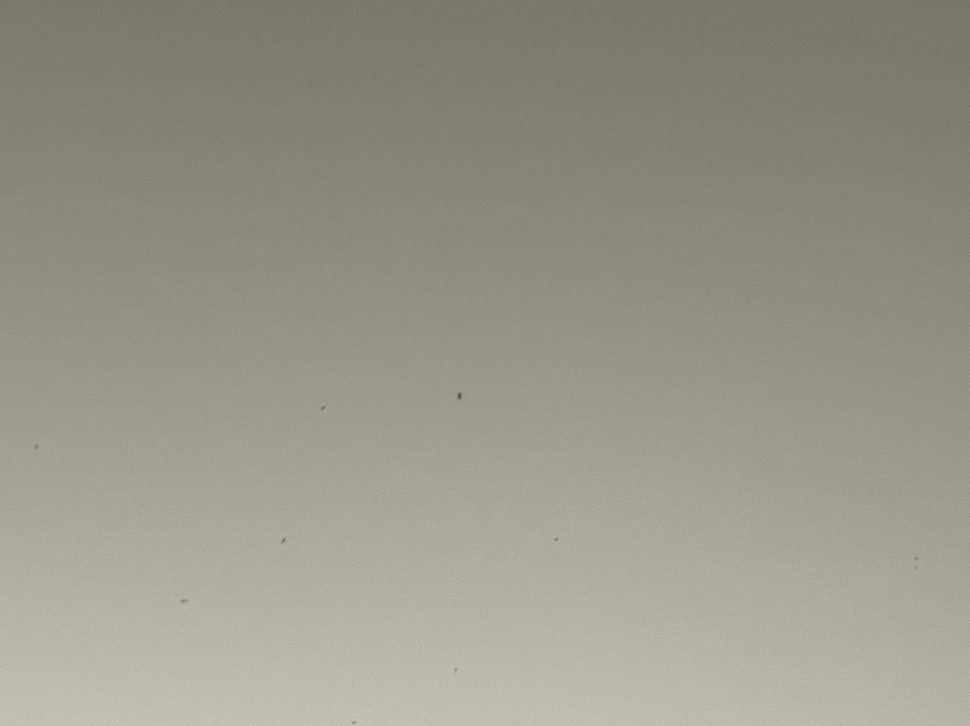 Best Western West Lebanon- Hanover Hotel主图