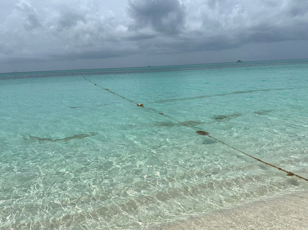 Bight Reef (Coral Gardens)-普罗维登西亚莱斯必去景点