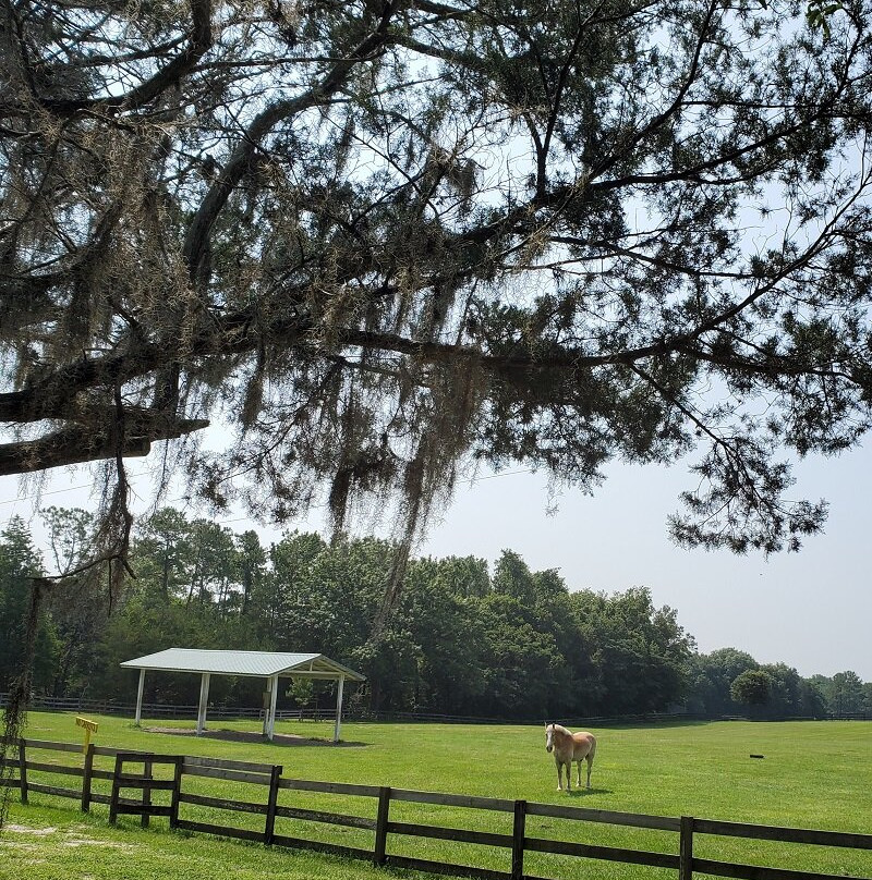 Retirement Home For Horses at Mill Creek Farm景点图片