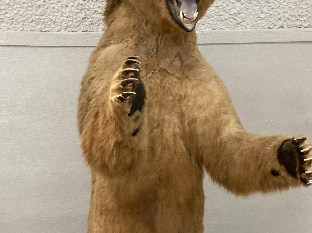 Sternberg Museum of Natural History-Hays必去景点