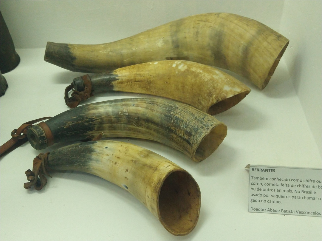 Museu do Sertao-Petrolina必去景点