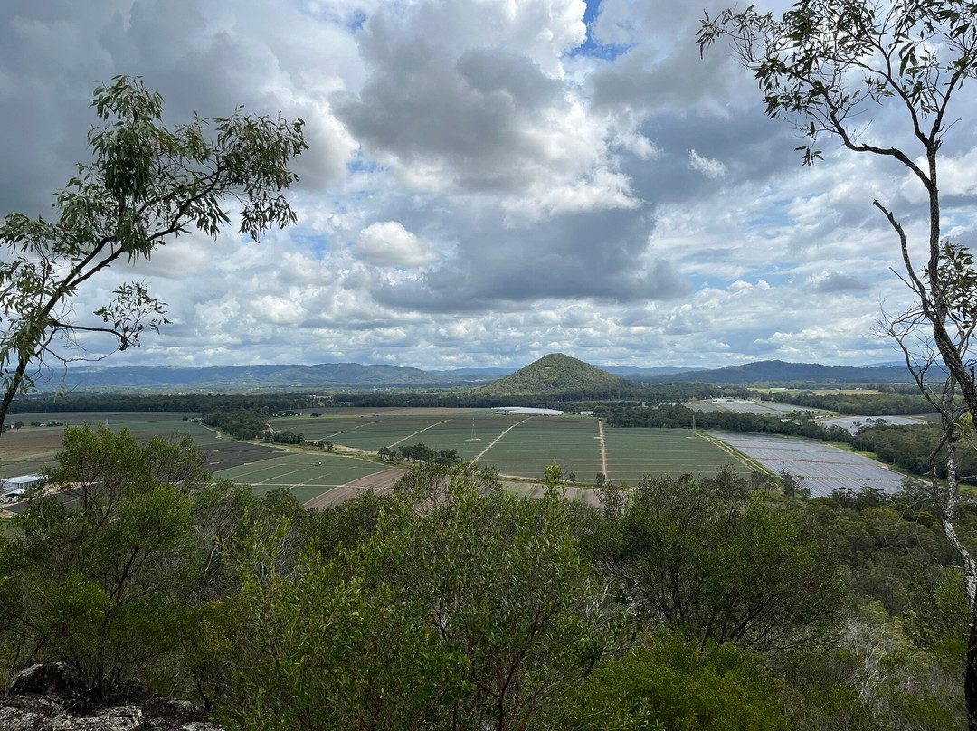 Glass House Mountains National Park景点图片