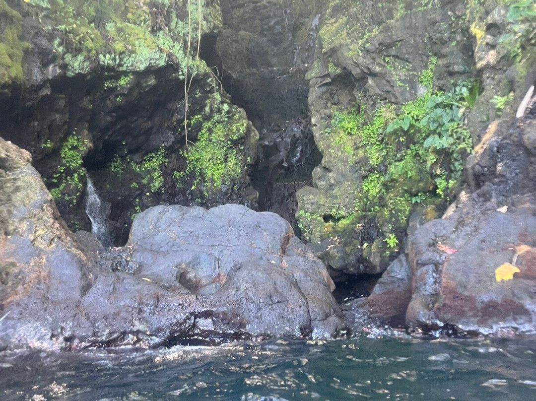 Pension Reva Teahupoo主图