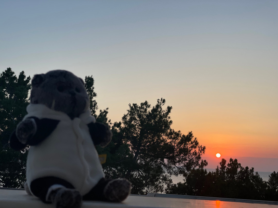 奥特弗布鲁卡普西斯埃利特度假酒店主图