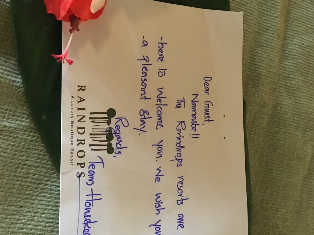 Raindrops Resorts主图