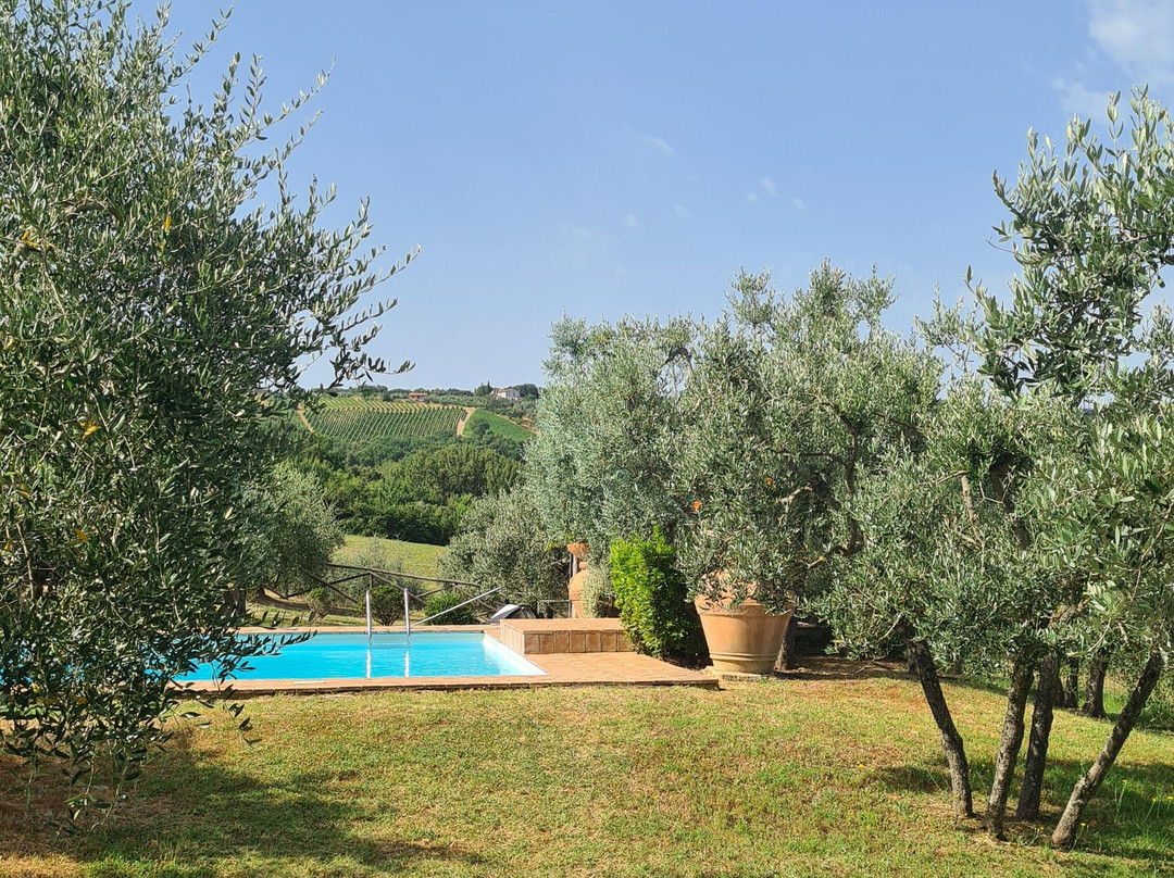 Tenuta Sant'Ilario主图