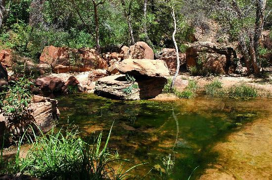 Emerald Pools-锡安国家公园必去景点