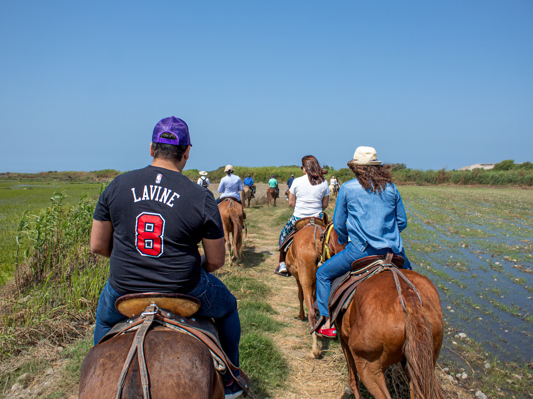 Cabalgata en caballo peruano de paso-Pacasmayo必去景点