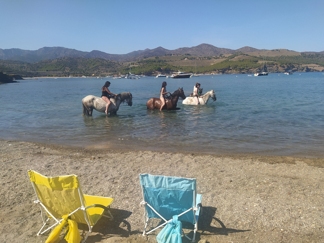 Centre Hipica Mas Batllo-Vilallonga de Ter必去景点