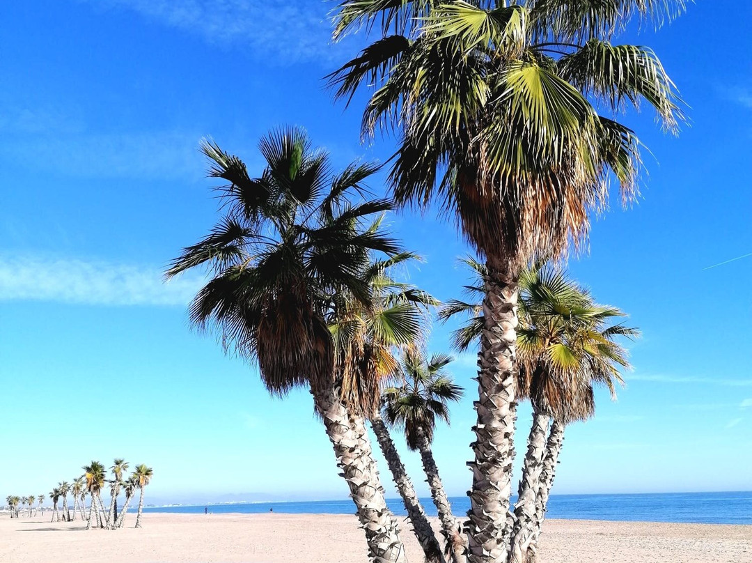 Platja De Canet D'en Berenguer景点图片