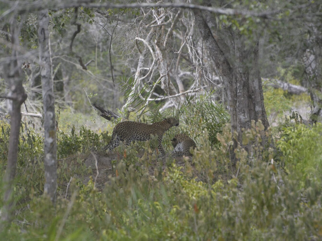 Punsisi jeep service and restaurants-Nochchiyagama必去景点