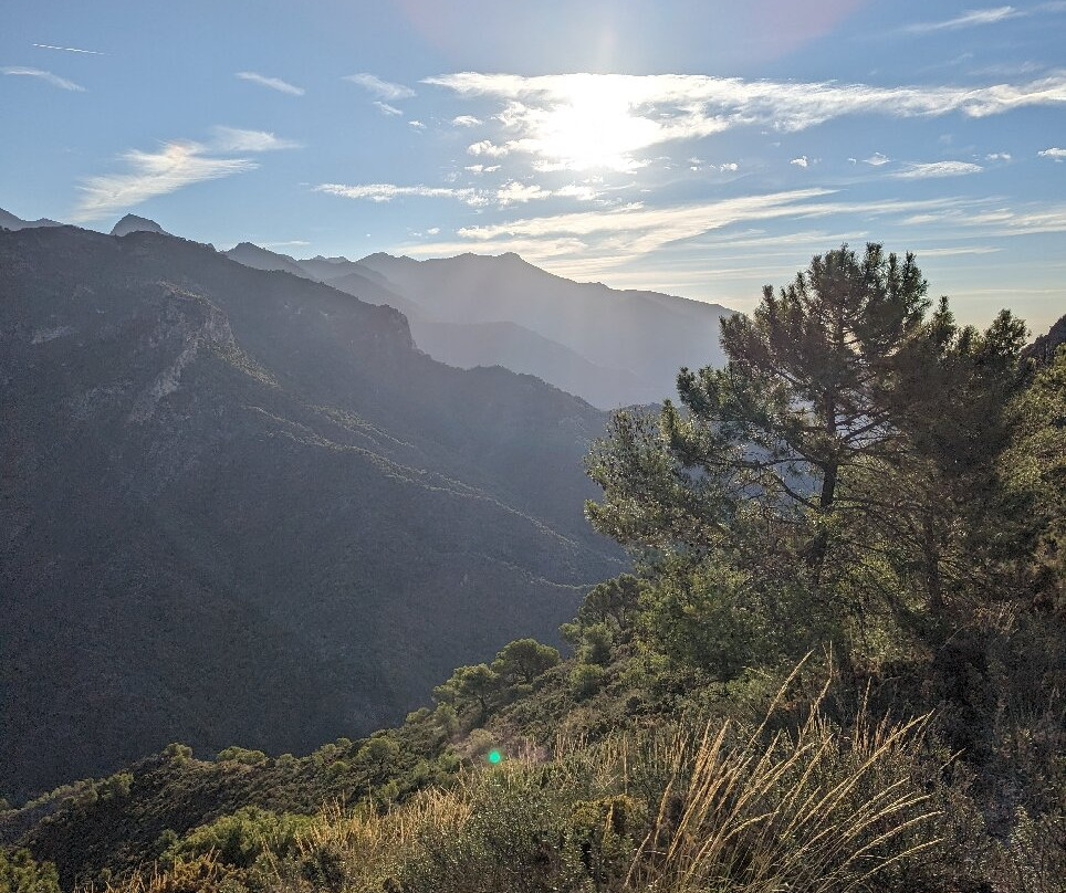 El Fuerte-弗里希利亚纳必去景点