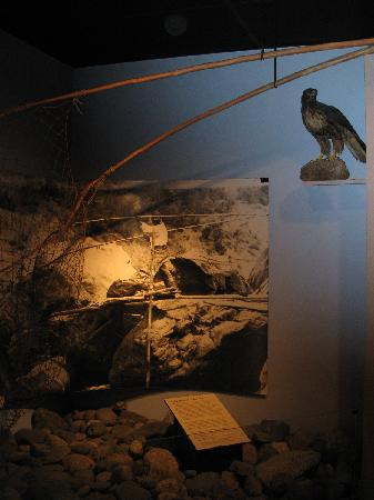 Siskiyou County Museum-怀里卡必去景点