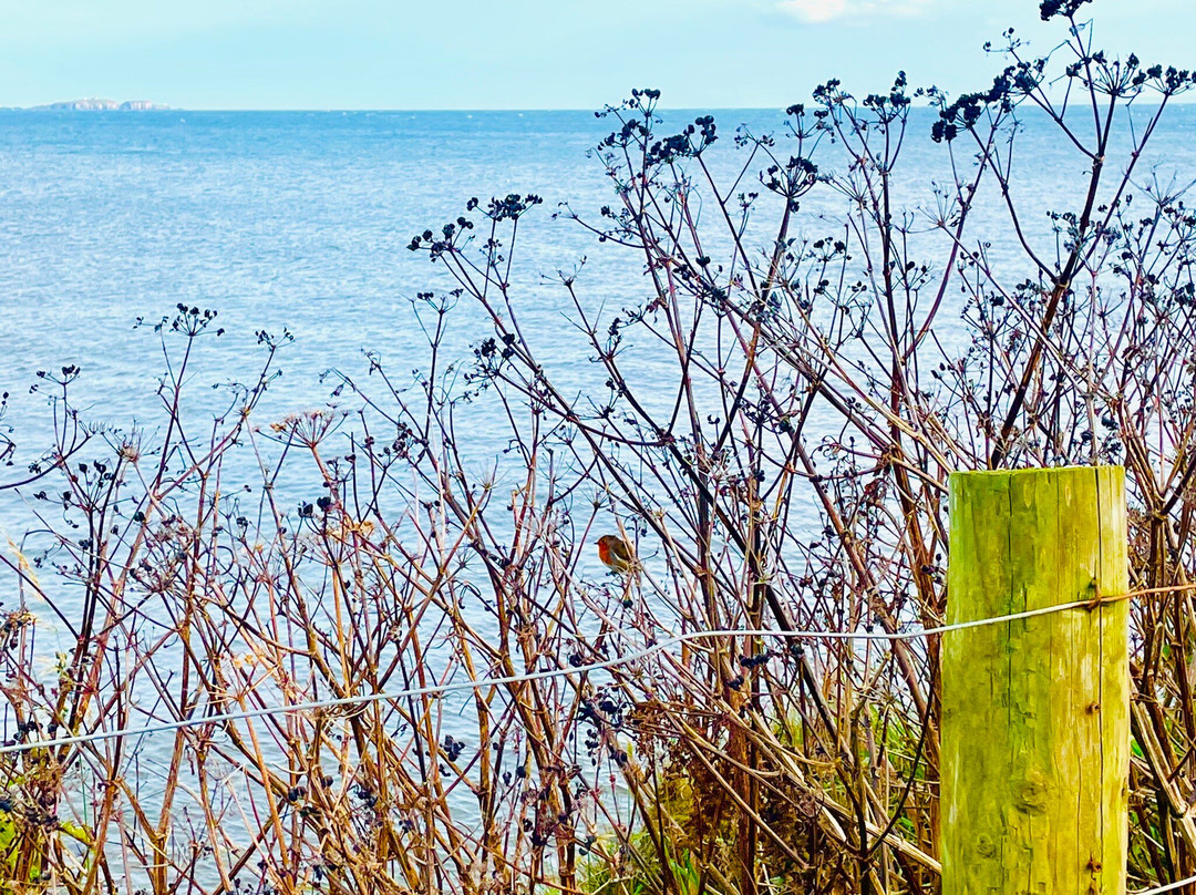 Billow Ness Beach-Anstruther必去景点