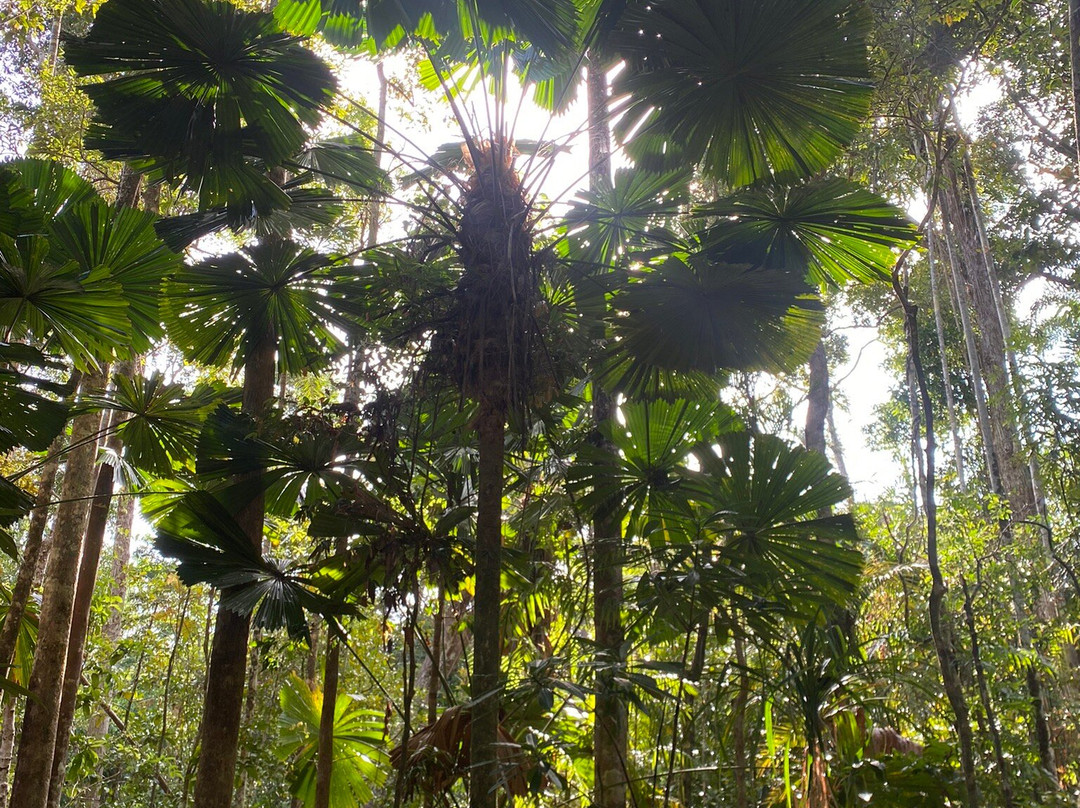 Prema Shanti Yoga & Meditation Retreat主图