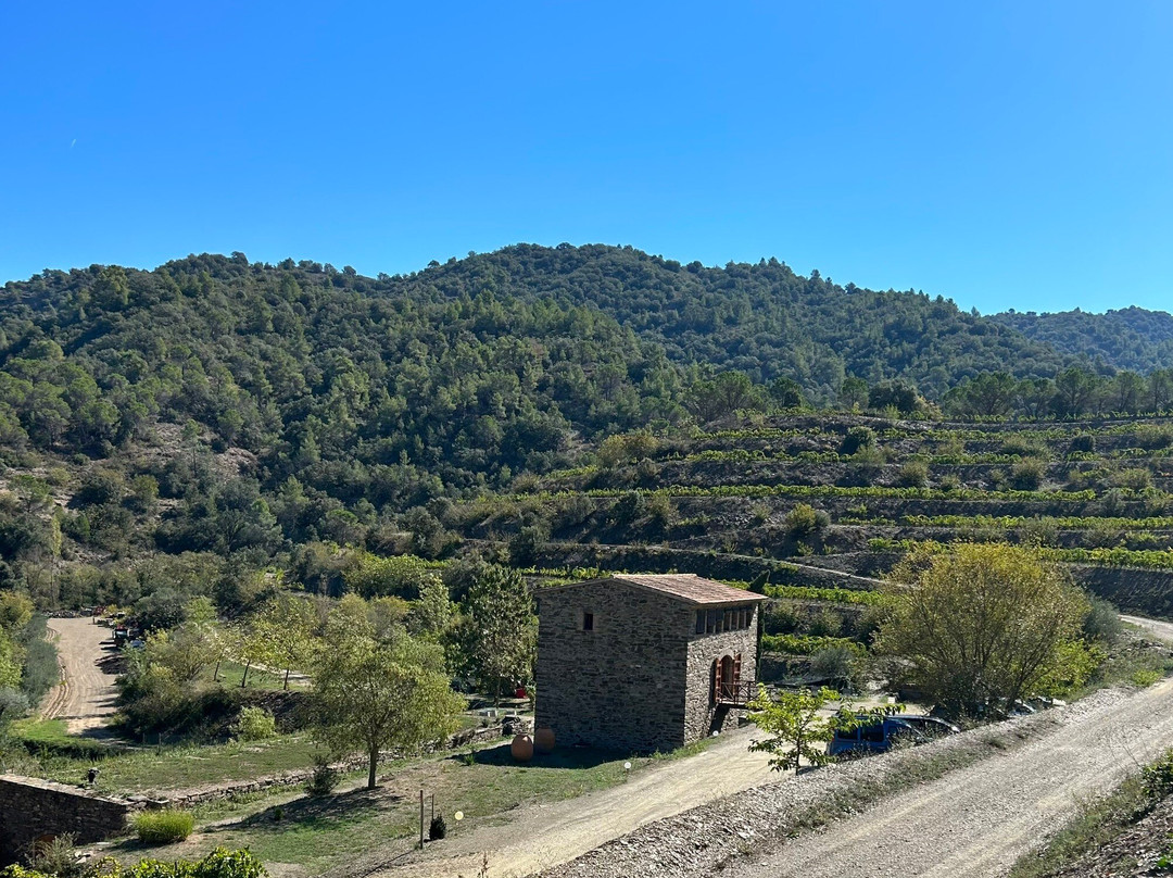 Celler Burgos Porta景点图片