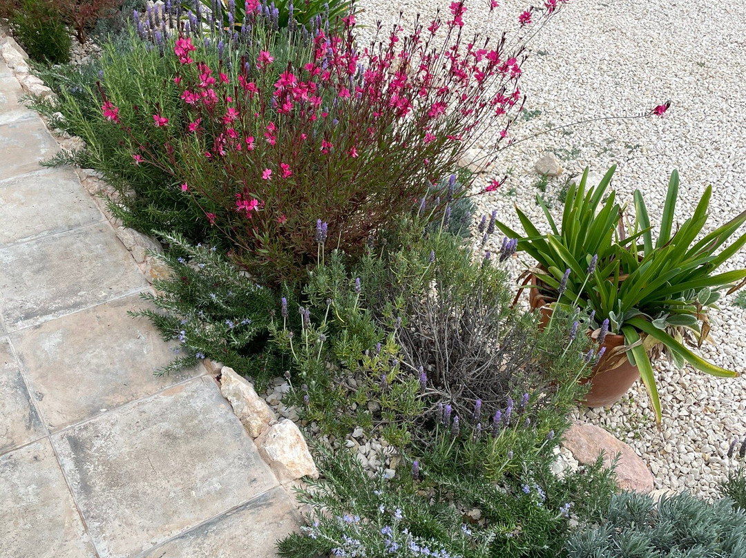 Mariola Secreta主图