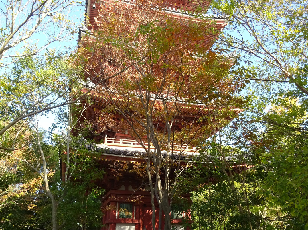 Shidoji Temple景点图片