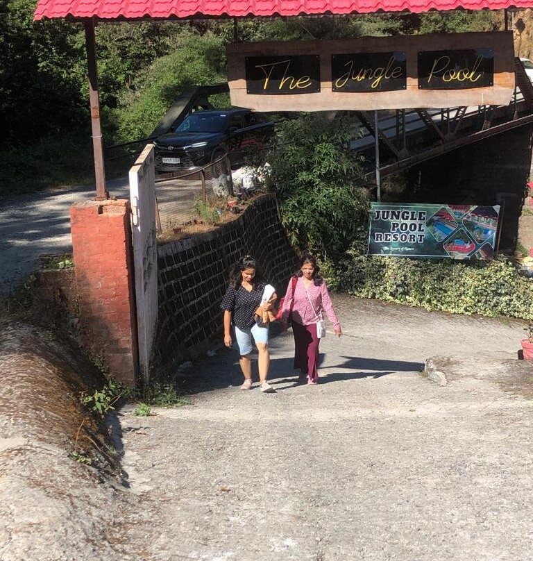 The Jungle Pool主图