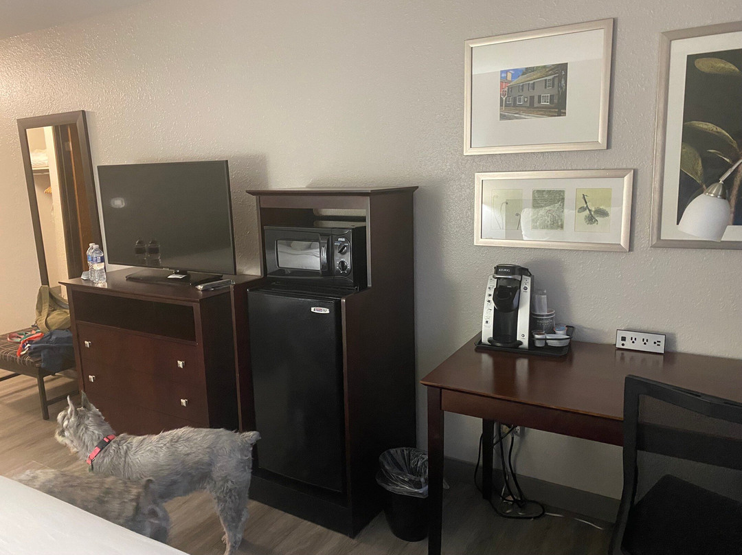 Country Inn & Suites by Radisson, Abingdon, VA主图