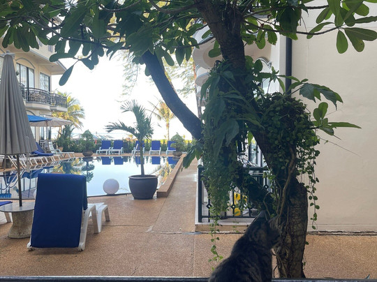 In On The Beach Hotel