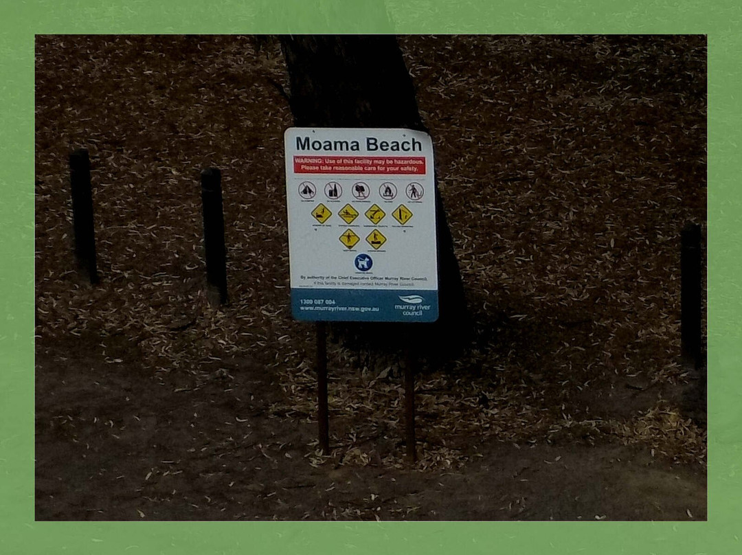 Moama Beach景点图片