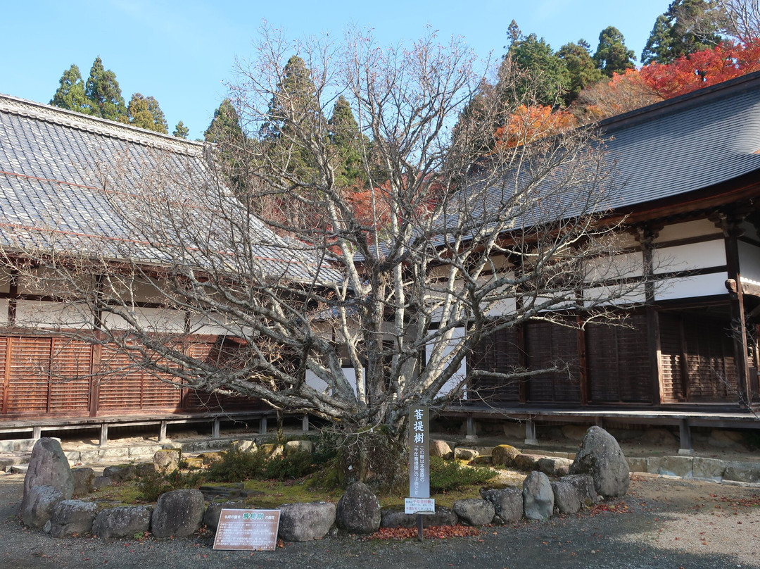 Hyakusai-ji Temple-东近江市必去景点